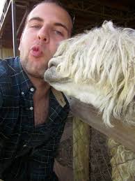 School of Policy and International Affairs