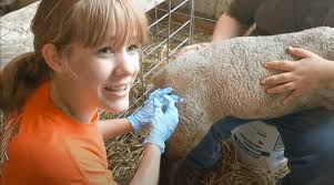 Pella FFA Students Highlighted to End School Year