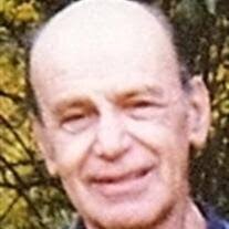 Peter J. Cecilia Sr. Obituary