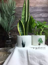 Maybe you would like to learn more about one of these? Tersuka Dengan Ceramic Pots Kaison Blog Sihatimerahjambu