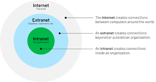 Authenticated users of the organization can access the database system. Internet Vs Intranet Vs Extranet Igloo Software