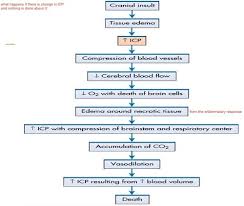 Exam 2 Med Surg Ati Ch 14 Traumatic Brain Injury Flashcards Quizlet