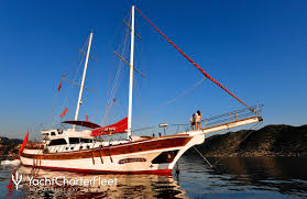 Image result for Blue 1995 Fleet