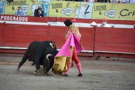En Toros y Ciudad: Tarde de ritmo y alegría