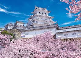 ãå§«è·¯åãã®ç»åæ¤ç´¢çµæ