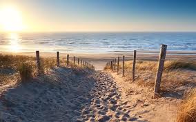 La chaine officielle de l'émission de france 3.c'est pas sorcier, le magazine de la découverte et de la science.la forêt des landes de gascogne, l'une des pl. Casalino Les Landes