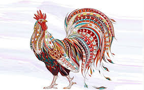 Tuổi Dậu Hợp Màu Gì? Màu Sắc Hợp Phong Thủy Cho Tuổi Dậu