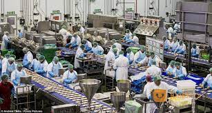 Gaji operator produksi di hm sampoerna jamblang. Gaji Operator Produksi Di Bogor