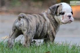 Pin On Brighten Your Day