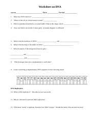 Dna replication & protein synthesis virtual lab sheet part 1 dna replication: Dna Replication Review Activity 12 1 12 2 Doc Worksheet On Dna Name Date Period 1 What Does Dna Stand For 2 Where In The Cell Are Chromosomes Located Course Hero