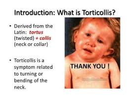 Skeletal muscle relaxants