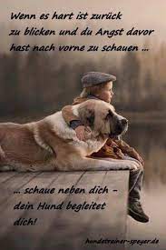 Home » sprüche hund mensch beziehung lustig » hund mensch sprüche. 120 Hundeliebe Ideen Hundespruche Hund Zitat Spruche Tiere