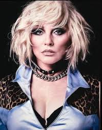 Steve Tow (setowzer)