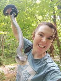 Successful herping outing with over 10 snakes spotted