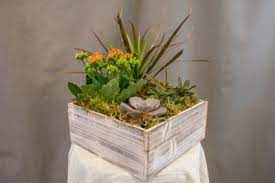 You can view the hours and driving directions for all occasion flowers and gifts in bend, or, along with info about lilies on our directory of local florists. Mixed Succulent Dish Garden All Occasion In Bend Or Wild Poppy Florist