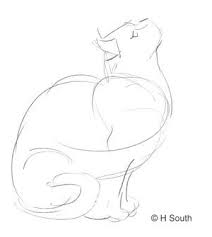 Boceto De La Fundacion Del Gato H South Con Licencia De About Com Inc Basado En Un P Gatos Tiernos Animal Drawings Art Drawings