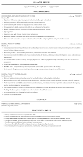 digital product owner resume sample