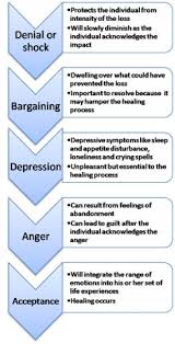 5 stages of grief by elizabeth kubler ross its very