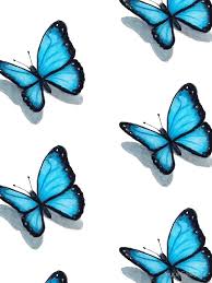 Motyv wszystkie kategorie dom i ogród dziecko elektronika firma i usługi kolekcje i sztuka kultura i rozrywka moda motoryzacja nieruchomości sport i turystyka supermarket uroda zdrowie. Drawing And Colouring Butterfly Butterfly In Red Yellow Tones Amote Wallpaper