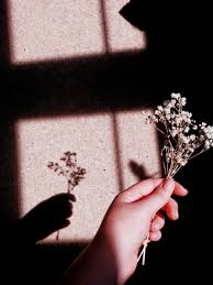 Pin Oleh Aki Di Gentle Doodle Bunga Fotografi Abstrak Fotografi Seni Lyric iphone wallpaper flower shawn mendes. pinterest