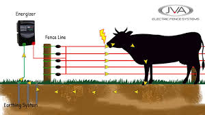 Pls contact us for a quick quote! How Does An Electric Fence Work Youtube