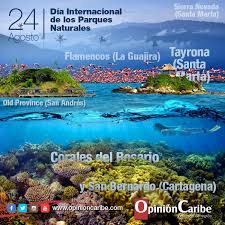 La idea de utilizar el símbolo de la almohadilla para organizar publicaciones relacionadas en redes sociales no existía hasta que el diseñador de producto. 24 De Agosto Dia Internacional De Los Parques Nacionales Opinion Caribe