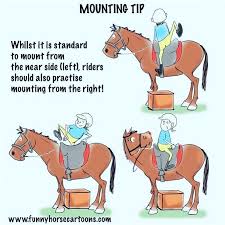 I M Constantly Preaching At People To Do Everything Especially Mounting And Dismounting From Both Sides So Thi Horse Quotes Funny Funny Horses Horse Quotes
