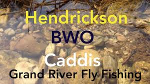 Grand River Access Izaak Walton Fly Fishing Club