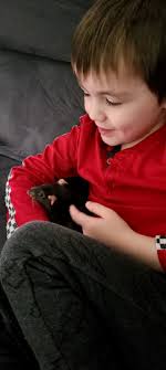 Introduction to Autism and Special Interests in Rats