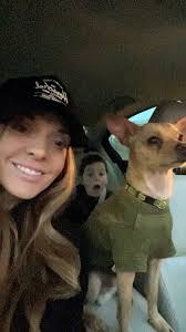 Lost Dog in Issaquah, WA