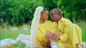 Rayvanny Ft Zuchu Number One Official Video Youtube