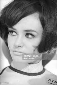 265 Bob Whitaker Stock Photos, High-Res Pictures, and Images