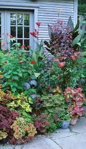 Maybe you would like to learn more about one of these? Staging A Container Plant Display Finegardening