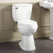 Maybe you would like to learn more about one of these? Signature Hardware 413995 White Stalnaker 1 6 Gpf Siphonic Ada Compliant Two Piece Elongated Toilet Seat Included Faucetdirect Com