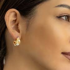 Serena Pierce's Instagram, Twitter & Facebook