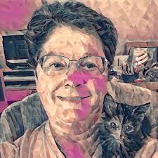 Peel and Stick Self Adhesive Wallpaper Colorful Flowers Wallpaper 44.5 x  300cm Self Adhesive Vinyl Sticky Back Plastic Roll Geometric Wallpaper  Kitchen Furniture Refurbish Floral Contact Paper : Amazon.sg: DIY and Tools