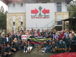 For business inquiries on youtube: Industrial Visit Of Seed Technology Courses To Pt East West Seed Indonesia Program Studi Sarjana Rekayasa Pertanian