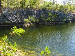 Explore reviews, photos & menus and find the perfect spot for any occasion. Dagny Johnson Key Largo Hammock Botanical State Park 025