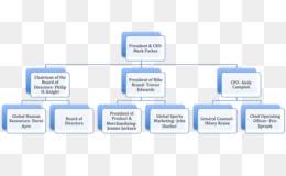 Organizational Chart Png Microsoft Organizational Chart