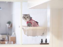 シンプルな猫ハンモックを壁に取付けました 石膏ボードok ハンモック 石膏ボード 猫の家具