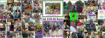 We would also like all potential. Pets For Adoption At Get A Life Pet Rescue S Fl Pet Rescue Rehab Inc In Plantation Fl Petfinder