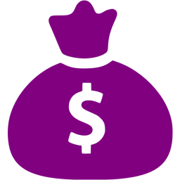 Revenue and financial support