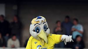 Test your knowledge with or against your fellow morecambe fc fans by sharing your scores with each other. Torquay Mascot Gilbert The Gull Banned By Forest Green Rovers Football News Sky Sports