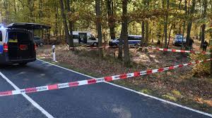 Bei dieser art von schulden tritt die verjährung gemäß § 228 der abgabenordnung. Offenbach Frau Vergewaltigt Und Lebendig Im Wald Verscharrt Tater Verurteilt Offenbach