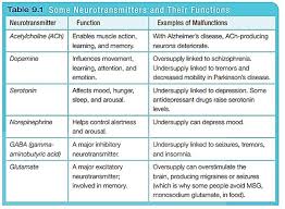 Chart Of Most Important Neurotransmitters To Remember For