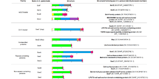 We did not find results for: Structures Of Staphylococcus Epidermidis Cwa Proteins Protein Cartoons Download Scientific Diagram
