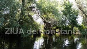 Delta dunării este cel mai important loc de popas pentru păsările migratoare ce călătoresc între regiunea tropicală și cea arctică, cinci din cele. Reguli Noi Pentru Capturarea A Patru Specii De PeÈ™ti RÄƒpitori In Delta DunÄƒrii De Anul Viitor Ce Trebuie SÄƒ È™tie Pescarii