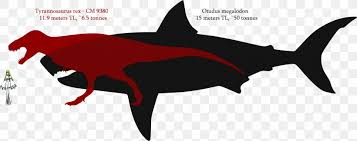 Attocki lived on the edges of a shallow ocean and chowed. Great White Shark Mosasaurus Tyrannosaurus Megalodon Png 1690x670px Shark Animal Blue Whale Carcharodon Fauna Download Free