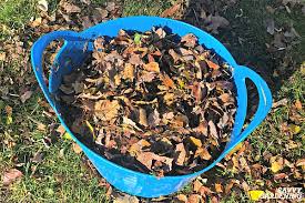 I came to the program with almost. Garden Soil Amendments 6 Organic Choices To Improve Your Soil