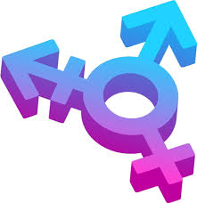 Ich bin hetero, aber von Transgender- oder Gay-Pornos angezogen (oder von  Gay-Pornos angezogen). Was ist los? - Dein Gehirn im Porno